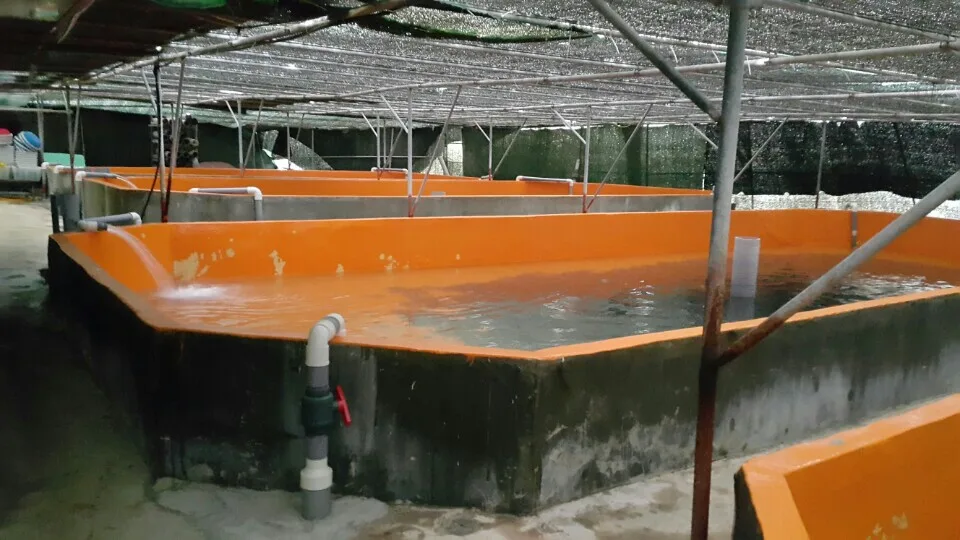 Busan Gijang Fisheries Coop — Farm.